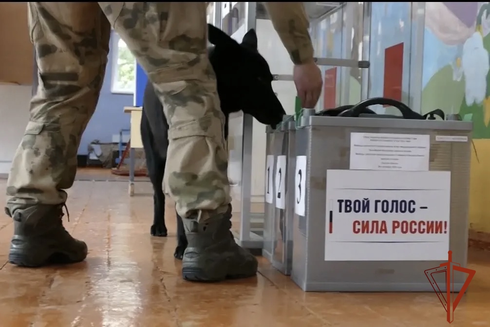 Омские избирательные участки до выборов проверили собаки Омские избирательные участки до выборов проверили собаки
