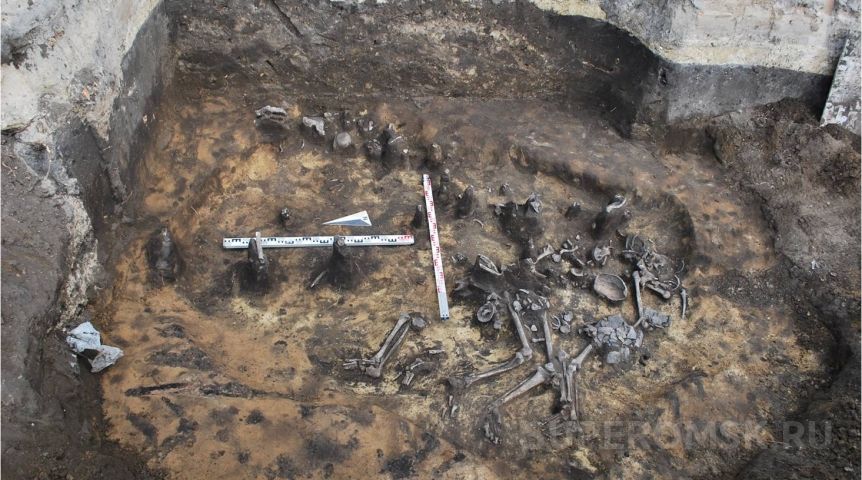 Ученый описал типичного древнего омича и раскрыл главную тайну Ленинской горки