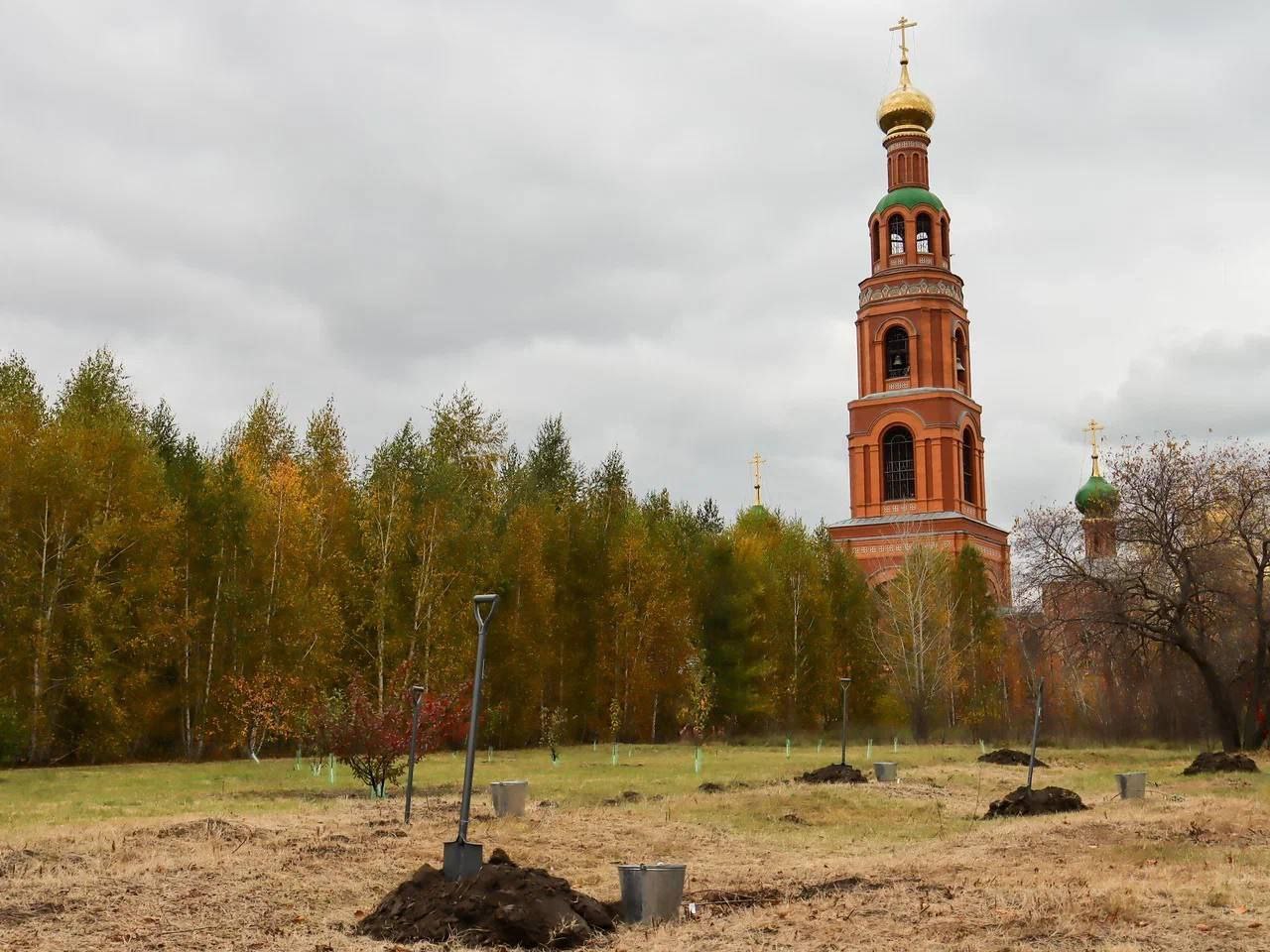 Хоценко поучаствовал в высадке саженцев в саду дружбы Омской и Минской областей Хоценко поучаствовал в высадке саженцев в саду дружбы Омской и Минской областей