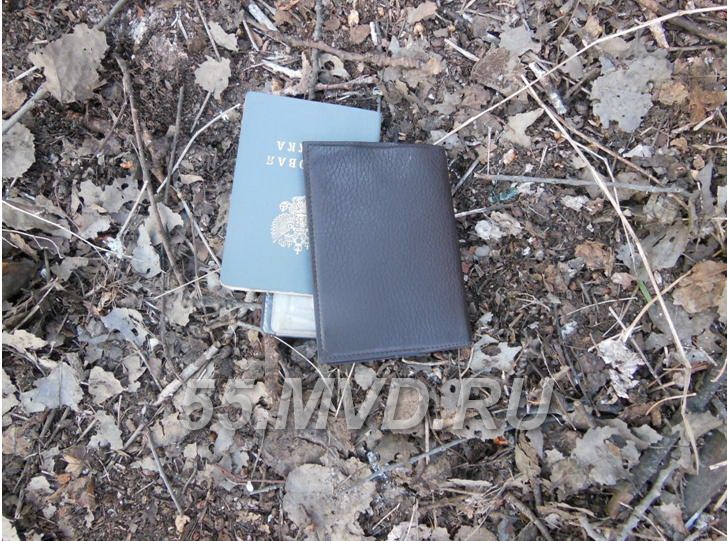 Автоугонщик пять часов скрывался в чаще леса под Омском