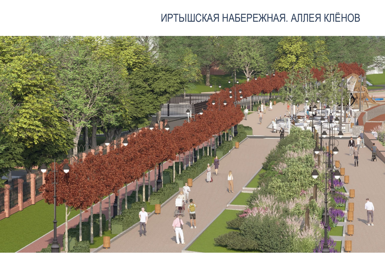 Аллея «олимпийских» кленов украсит Иртышскую набережную в Омске Аллея «олимпийских» кленов украсит Иртышскую набережную в Омске