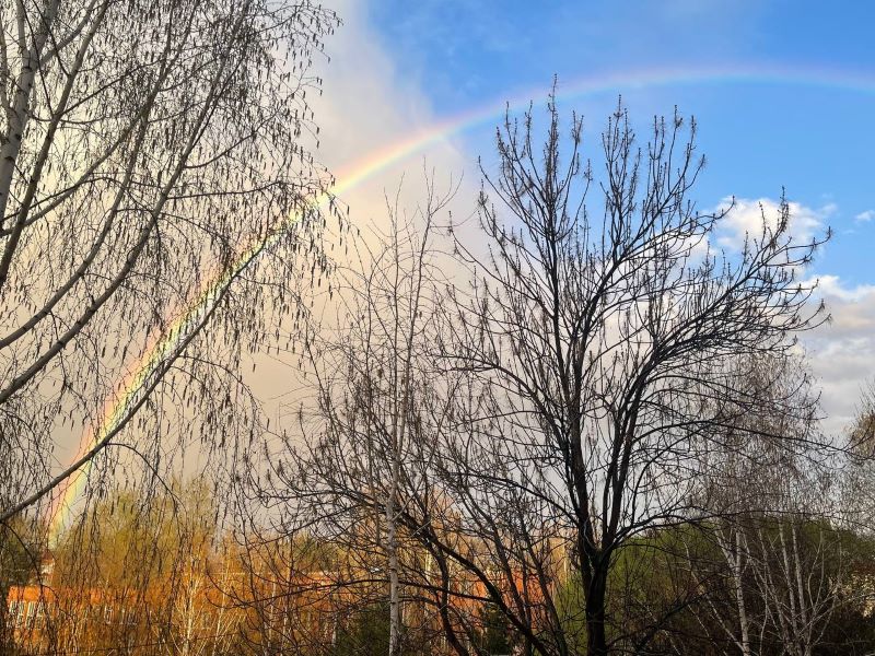 В небе над Омском замечено чудесное явление В небе над Омском замечено чудесное явление