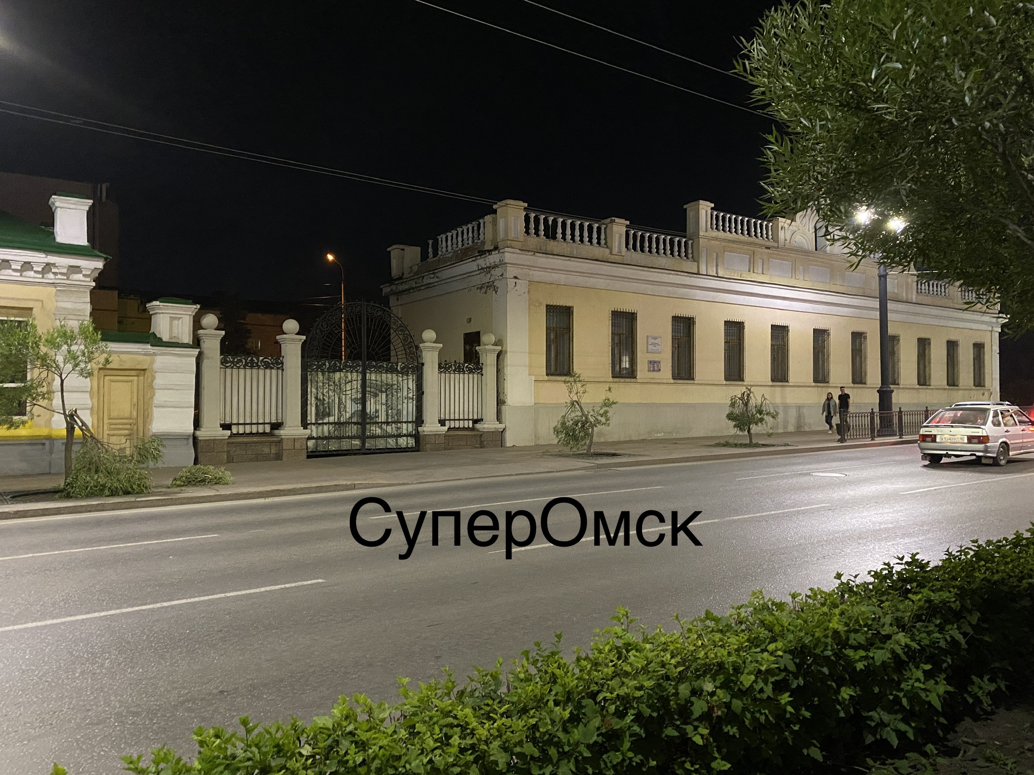 На улице Ленина в Омске вандал переломал шаровидные ивы На улице Ленина в Омске вандал переломал шаровидные ивы