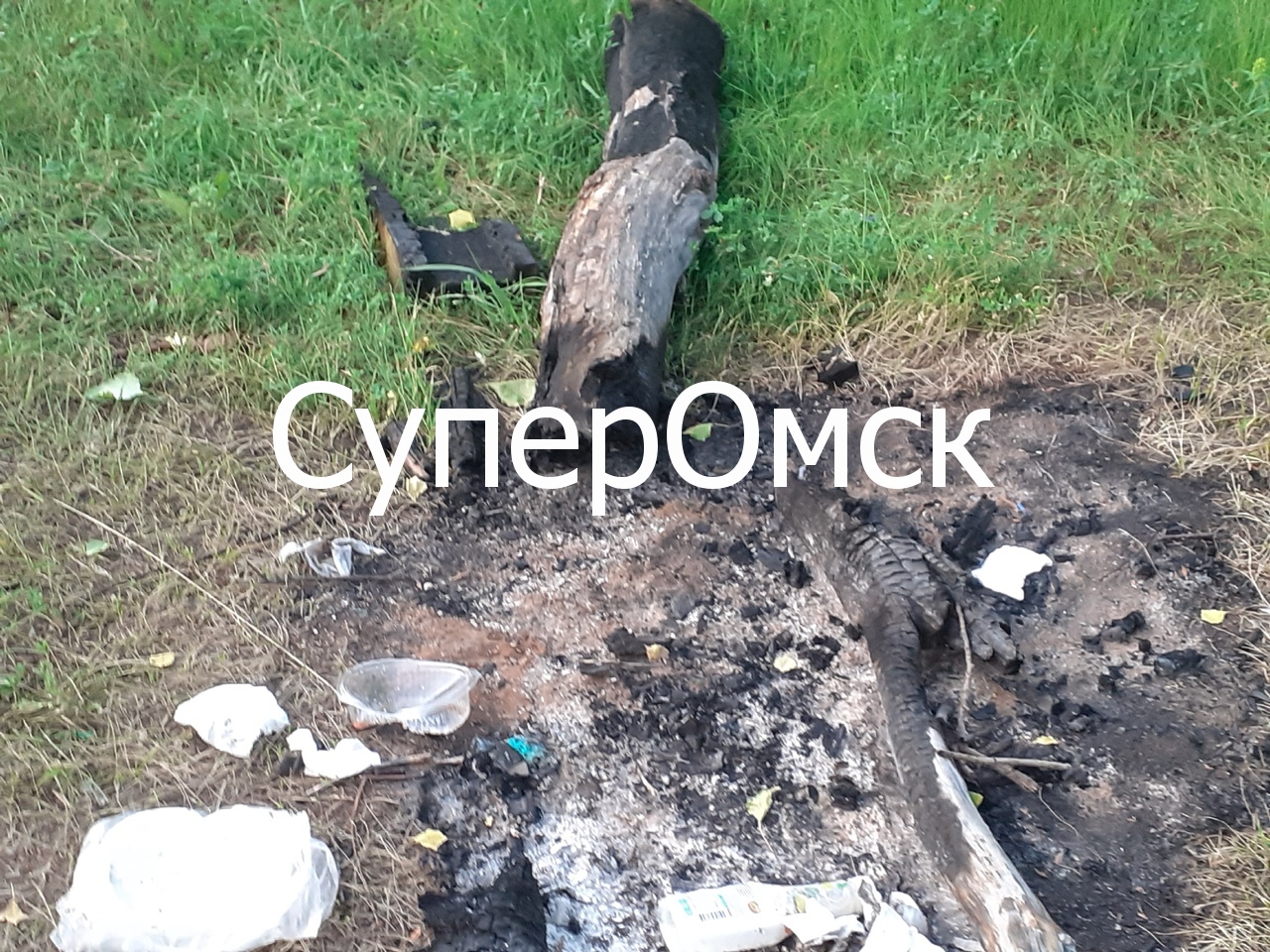 Омичи в период коронавируса устроили ночные автотусовки в охранной зоне на окраине города – фото Омичи в период коронавируса устроили ночные автотусовки в охранной зоне на окраине города – фото