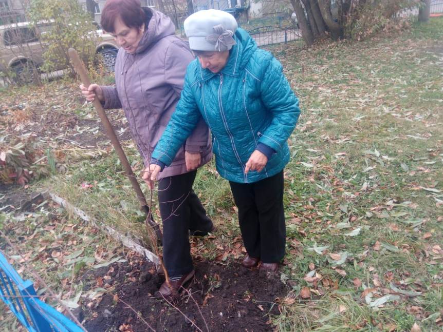 При содействии вице-спикера горсовета Ткачука омичи высадили березы на Старой Московке