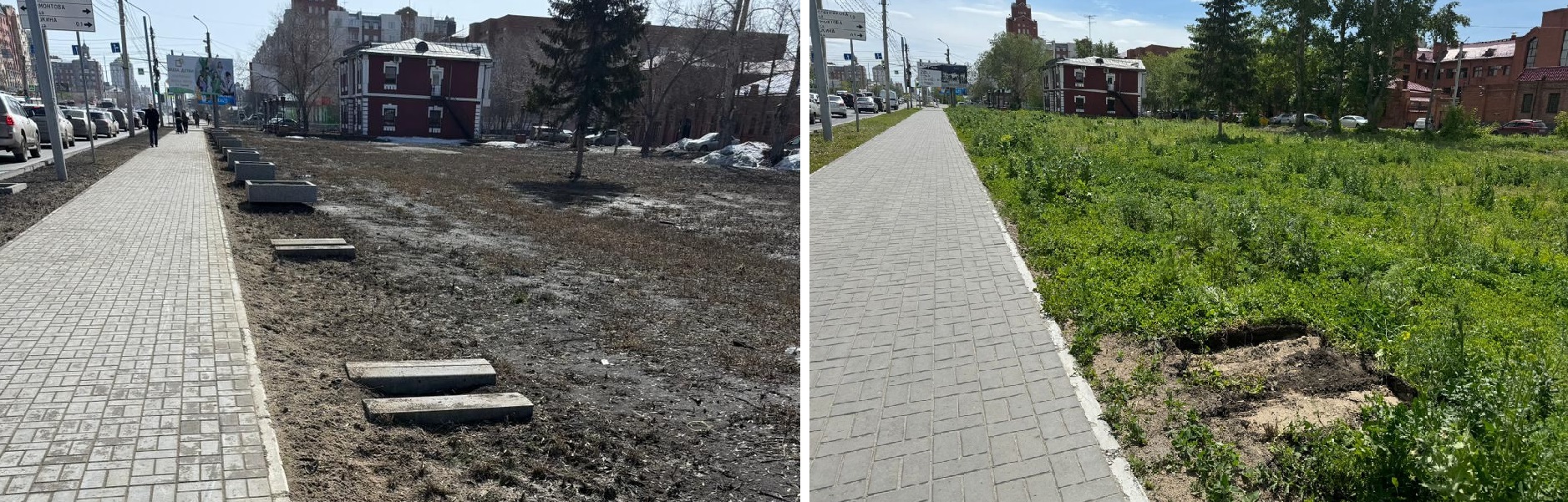 С центральной улицы Омска пропали украшения С центральной улицы Омска пропали украшения