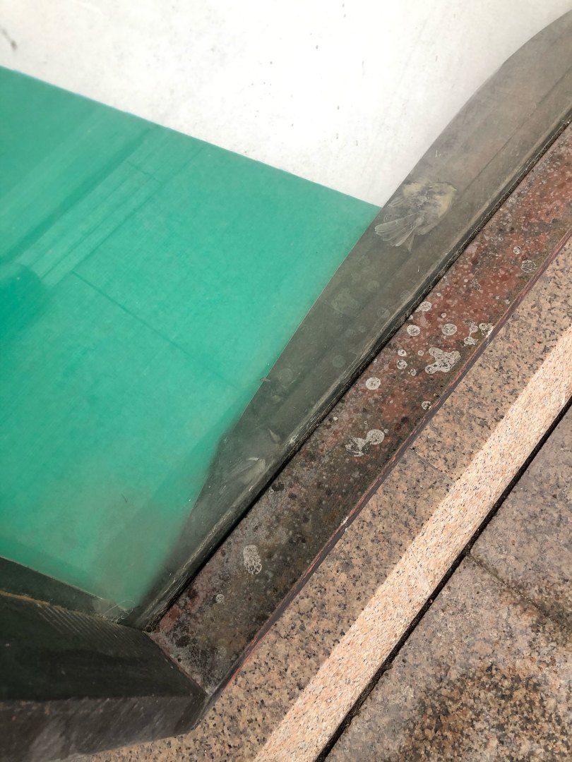 В Омске за окнами торгового центра обнаружили мертвых птиц