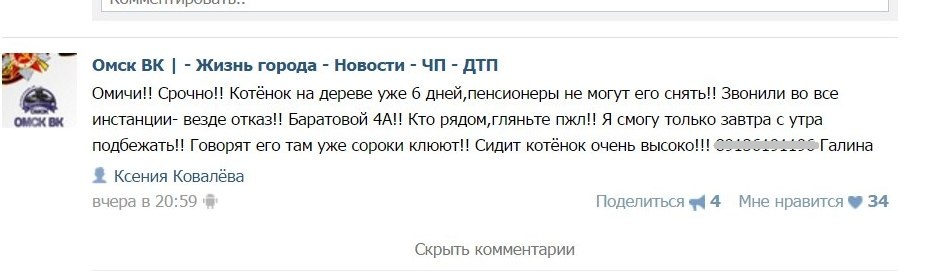 Омичи всю ночь снимали с дерева котенка, который просидел там шесть дней Омичи всю ночь снимали с дерева котенка, который просидел там шесть дней