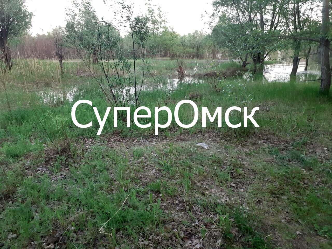 Омичи в период коронавируса устроили ночные автотусовки в охранной зоне на окраине города – фото Омичи в период коронавируса устроили ночные автотусовки в охранной зоне на окраине города – фото