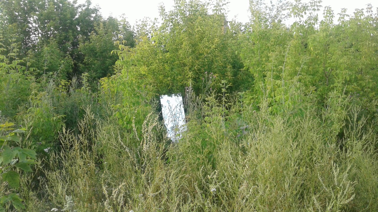 Омичи пожаловались на бомжей, устроивших «засаду» по пути на остановку в Нефтяниках Омичи пожаловались на бомжей, устроивших «засаду» по пути на остановку в Нефтяниках