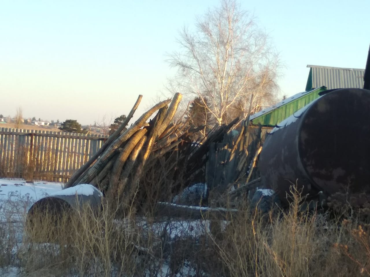 Омичи пожаловались на соседа, спилившего деревья в округе на дрова Омичи пожаловались на соседа, спилившего деревья в округе на дрова