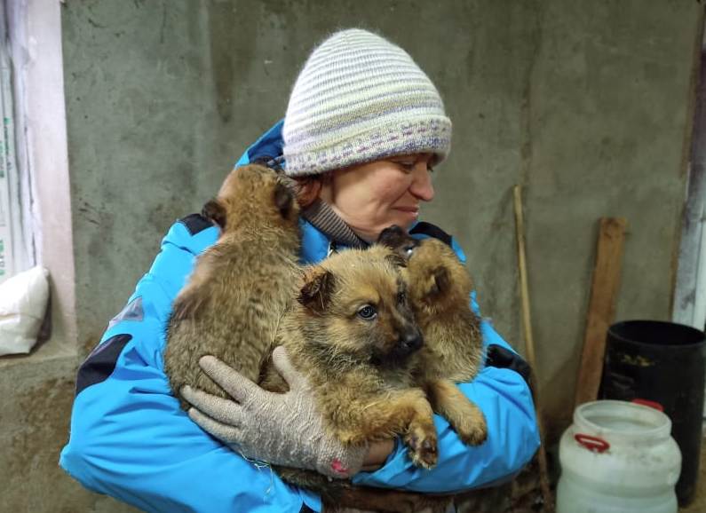 Омские чиновники собрали корм питомцам муниципального приюта Омские чиновники собрали корм питомцам муниципального приюта