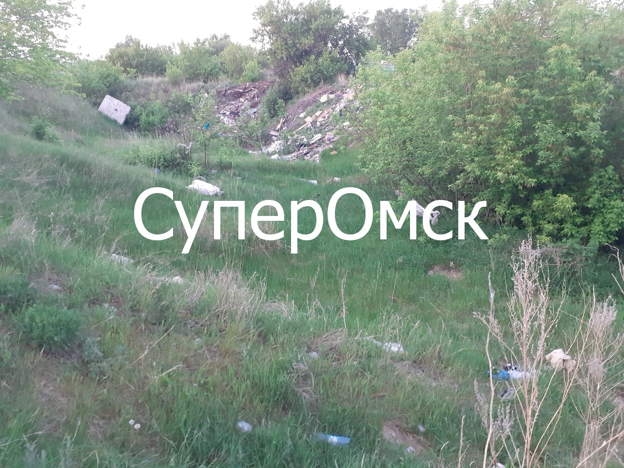 Омичи в период коронавируса устроили ночные автотусовки в охранной зоне на окраине города – фото Омичи в период коронавируса устроили ночные автотусовки в охранной зоне на окраине города – фото