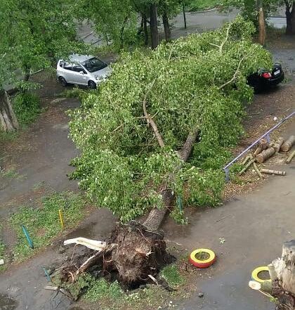 Кратковременный ураган в Омске не остался без последствий – ФОТО Кратковременный ураган в Омске не остался без последствий – ФОТО