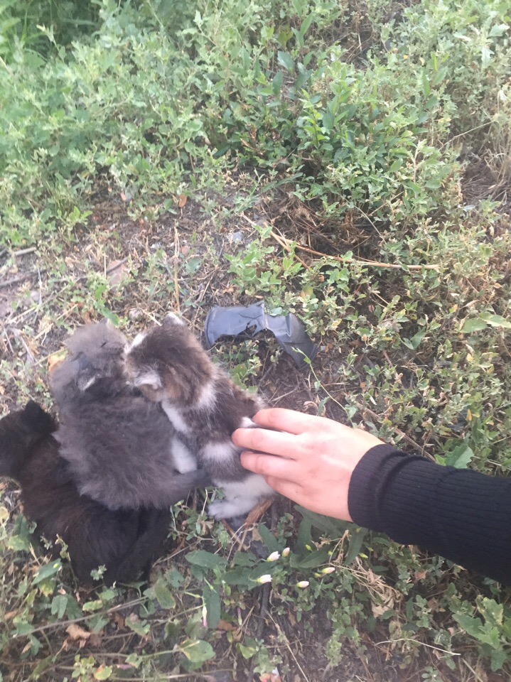 Пожар в центре Омска Пожар в центре Омска