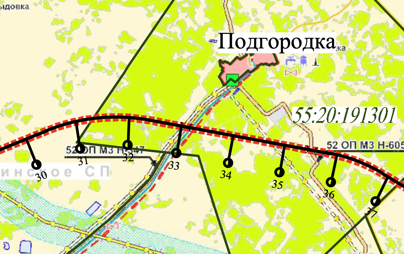 Леса омского дендропарка уже разметили под Северный обход Леса омского дендропарка уже разметили под Северный обход