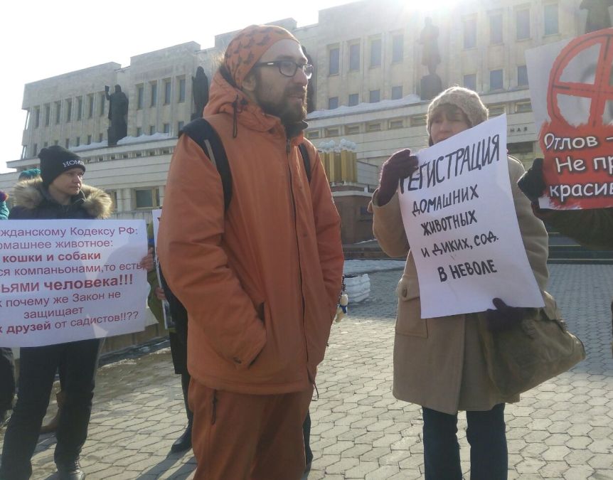 В Омске зоозащитники потребовали регистрации домашних животных