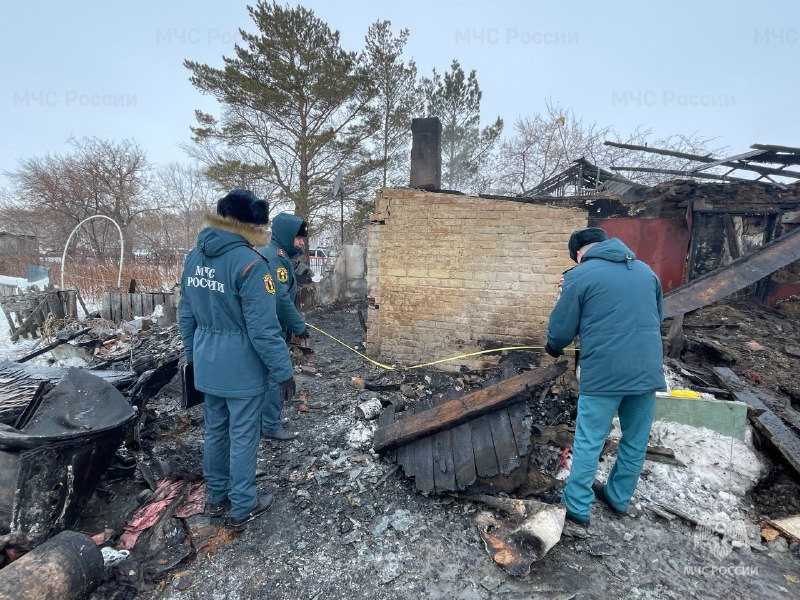 Фото с места трагедии, пресс-служба МЧС по Омской области В МЧС показали, что осталось от сгоревшего дома в Павлоградском районе, где погибли трое детей