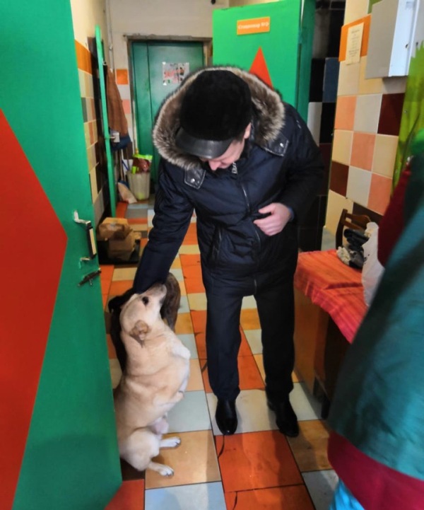Омский депутат обеспечил лекарствами щенка, получившего жуткие травмы