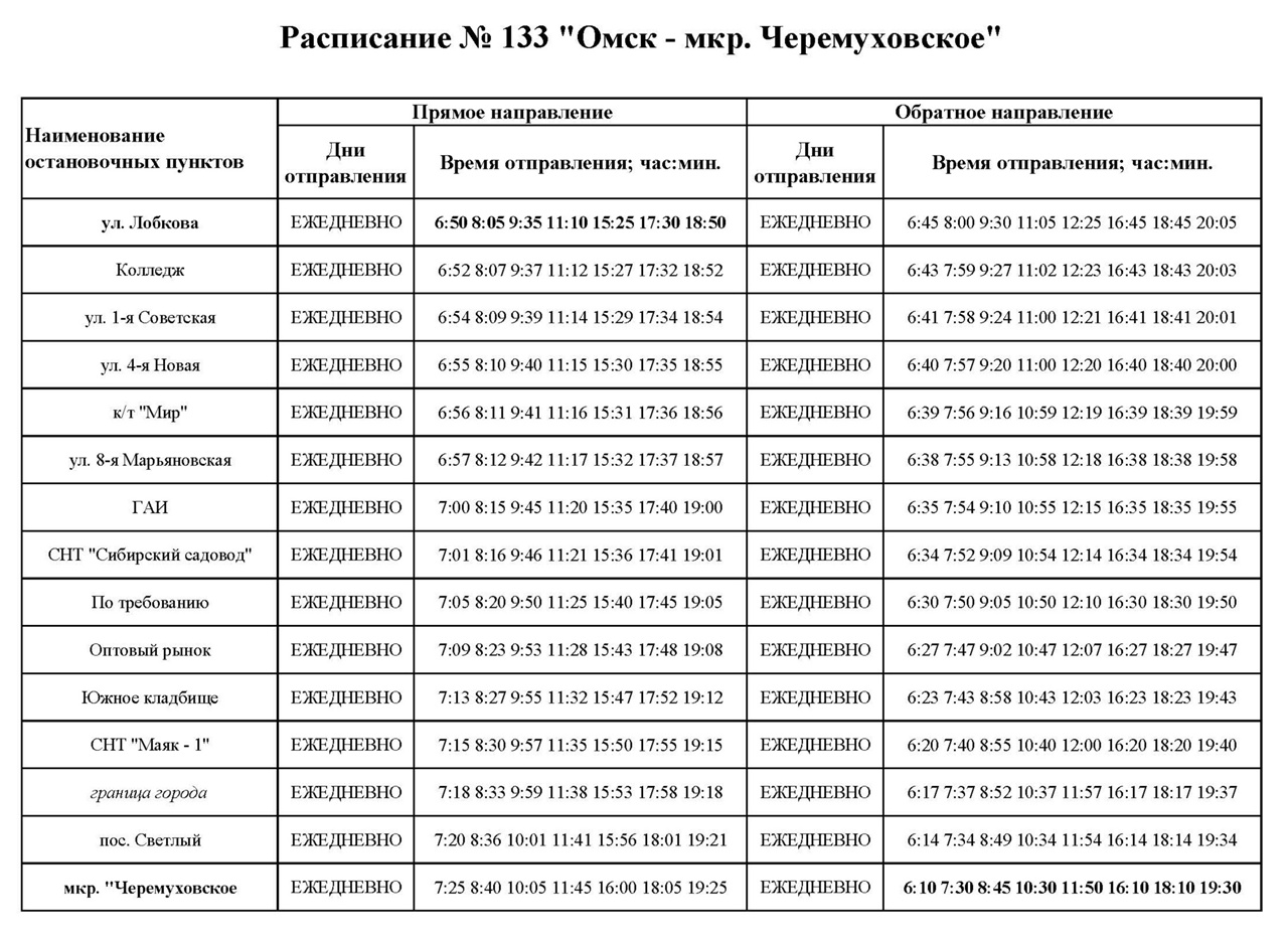 Из Омска в пригород с февраля запустят новый автобусный маршрут № 133