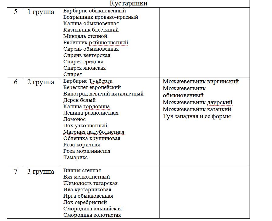 Омская мэрия будет брать за вырубку деревьев «живые» деньги Омская мэрия будет брать за вырубку деревьев «живые» деньги