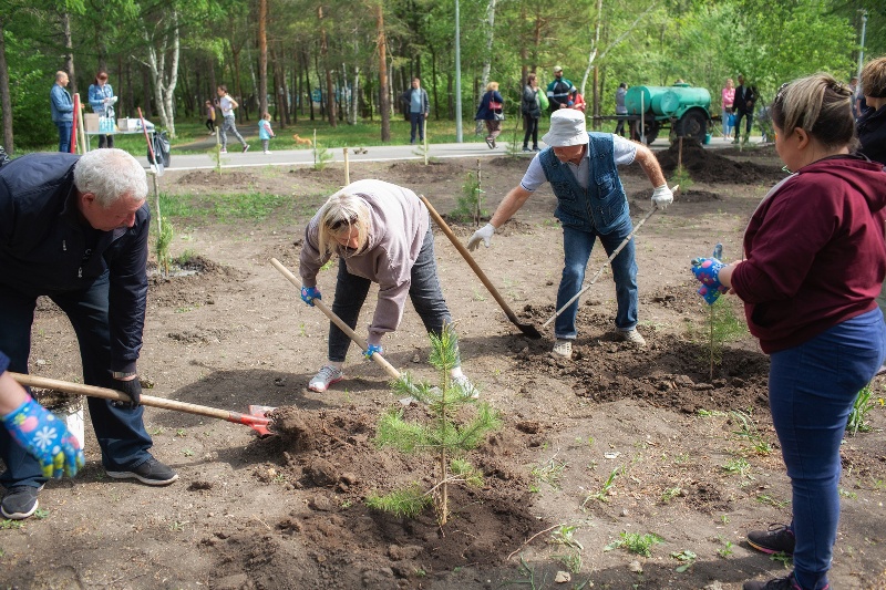 Омичи планируют благоустроить Аллею ангелов в Советском парке Омичи планируют благоустроить Аллею ангелов в Советском парке