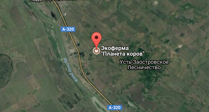 Под Омском горела экоферма по спасению коров Под Омском горела экоферма по спасению коров
