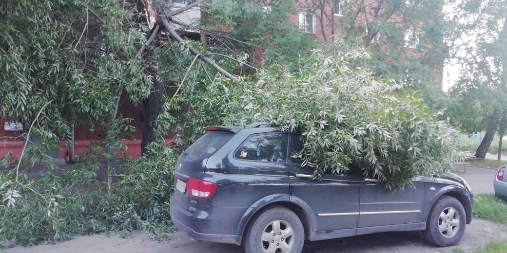 В Омске покусились на депутата горсовета В Омске покусились на депутата горсовета