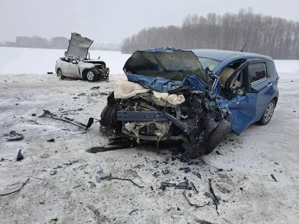 Появились кадры с места жуткого смертельного ДТП на омской трассе Появились кадры с места жуткого смертельного ДТП на омской трассе