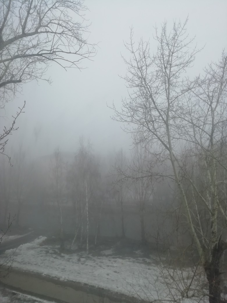 Омичи делятся фотографиями опустившегося на Омск густого тумана Омичи делятся фотографиями опустившегося на Омск густого тумана