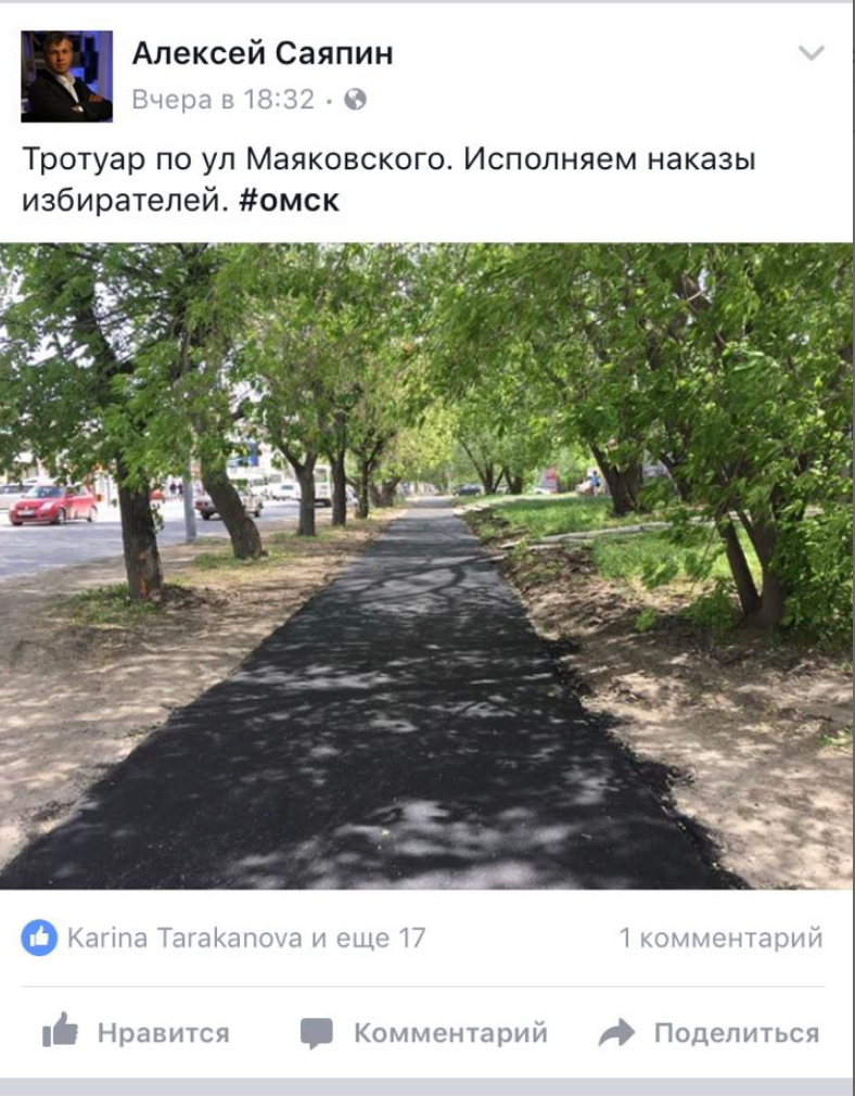 Кандидаты на праймериз в Омске присвоили себе федеральную программу «ЕР»