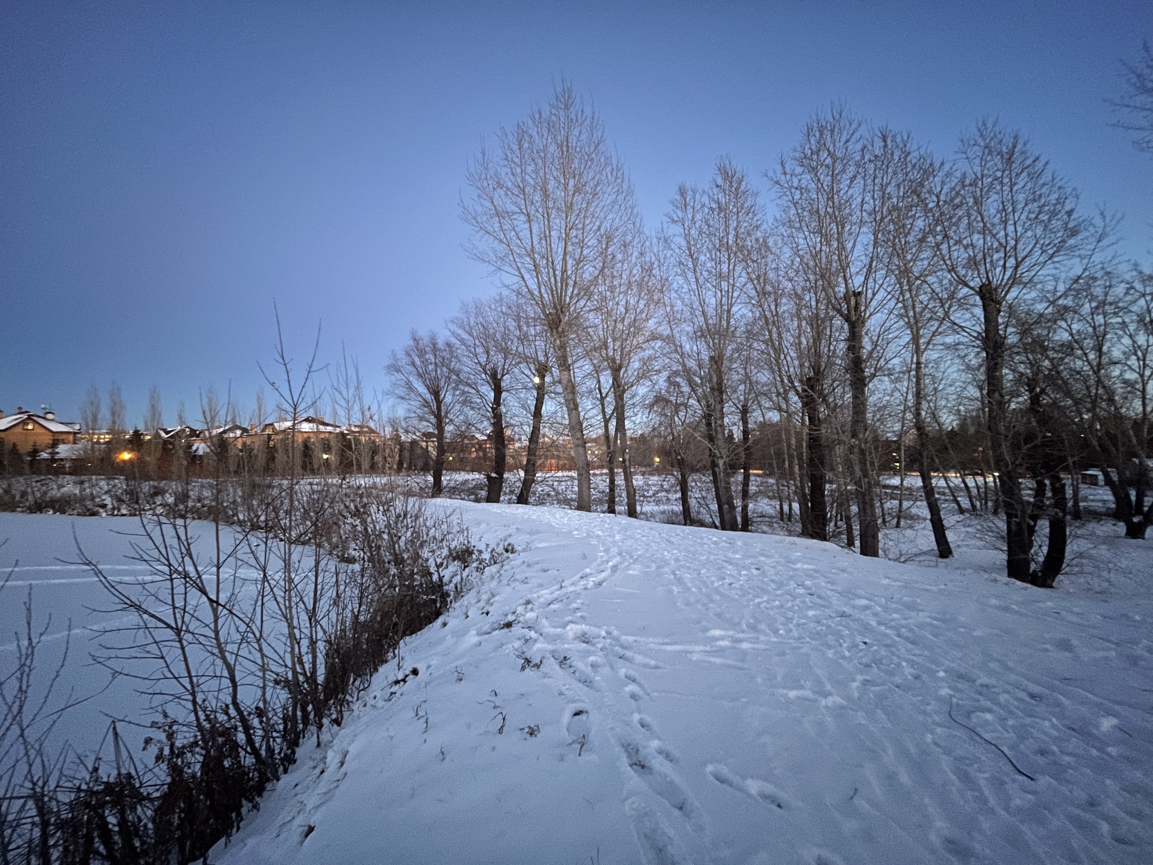 Омский бизнесмен Павел Оркиш нашел альтернативу жилой застройке на своей земле у Старозагородной рощи Омский бизнесмен Павел Оркиш нашел альтернативу жилой застройке на своей земле у Старозагородной рощи