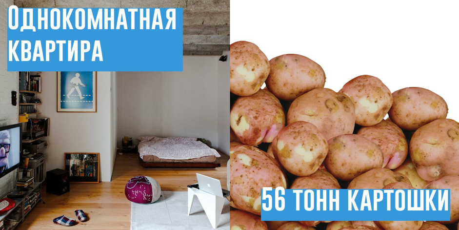 Сколько чашек кофе стоит квартира в Омске Сколько чашек кофе стоит квартира в Омске