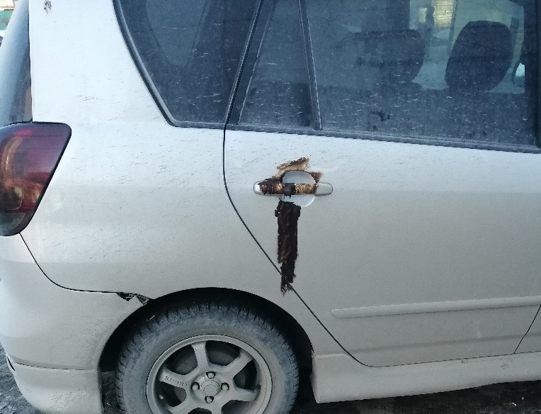 В Омске неизвестные перемазали припаркованные автомобили странной жижей