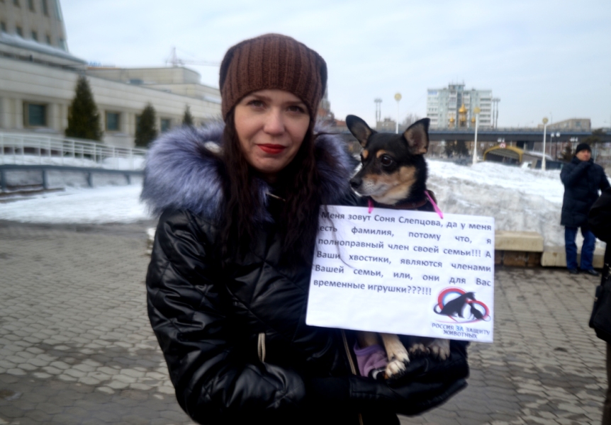 В Омске прошел очередной пикет в защиту животных В Омске прошел очередной пикет в защиту животных