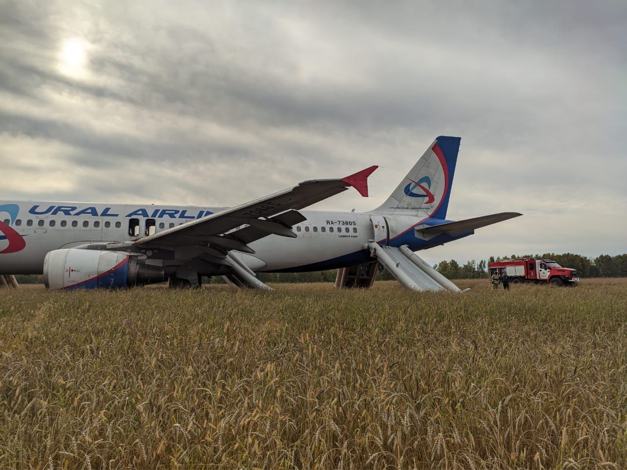 Появились кадры с места посадки самолета Сочи – Омск в поле под Новосибирском Появились кадры с места посадки самолета Сочи – Омск в поле под Новосибирском