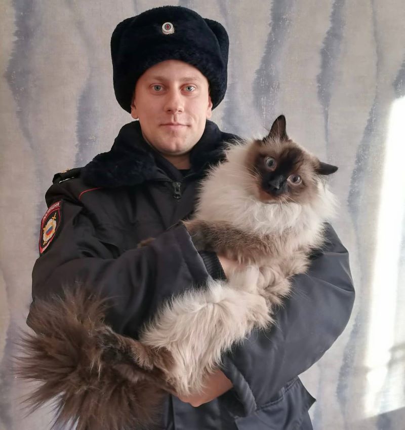 В Омске полицейский-кошатник спас замерзающих щенков В Омске полицейский-кошатник спас замерзающих щенков