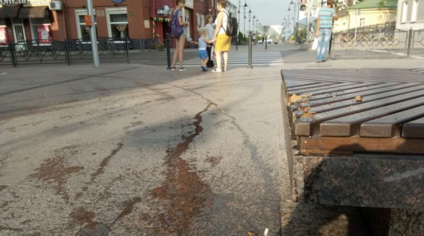 Мэрия Омска купила за 5 млн долгожданный автопылесос для Чокана Валиханова Мэрия Омска купила за 5 млн долгожданный автопылесос для Чокана Валиханова