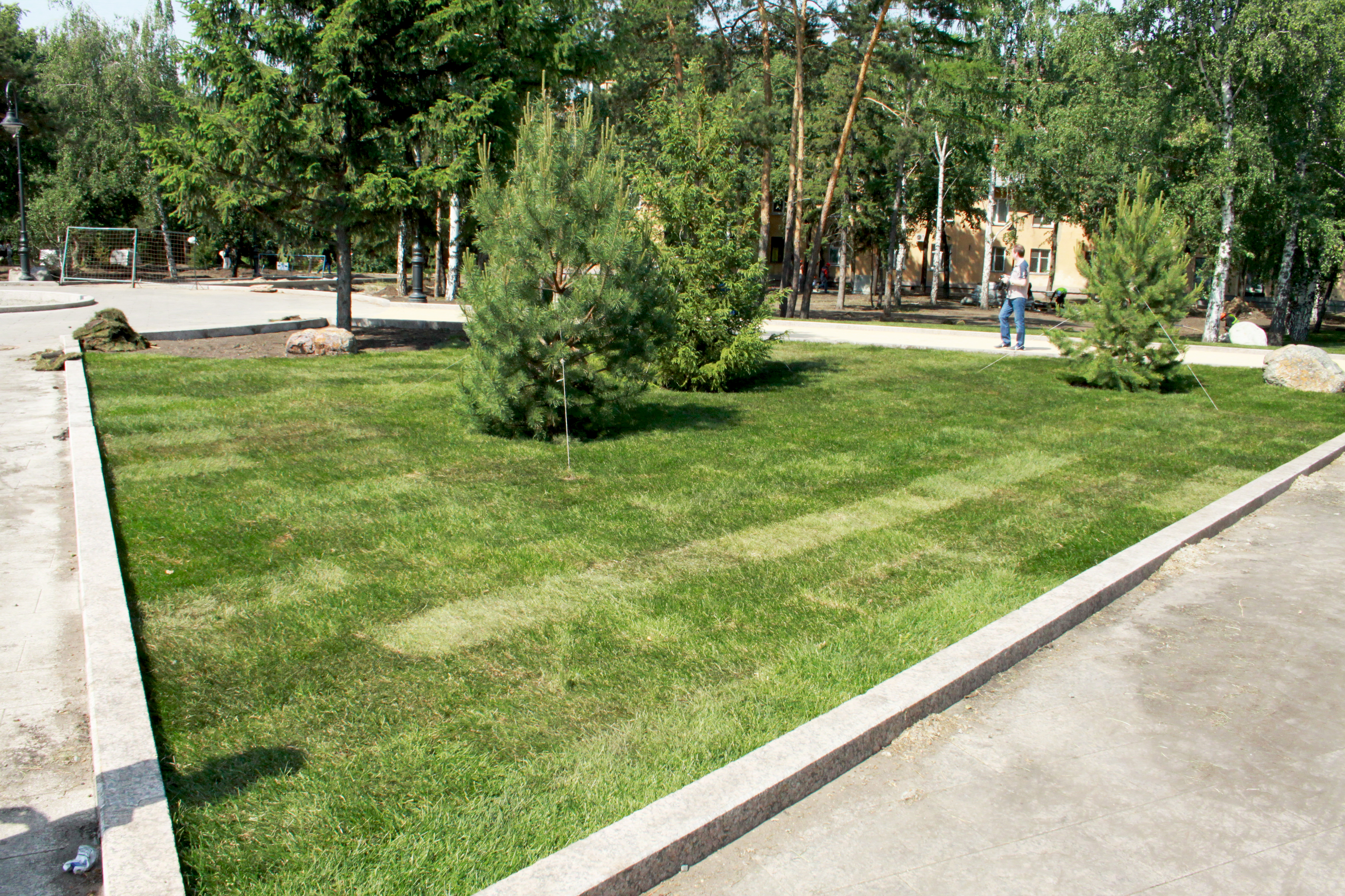 Вновь город-сад? К юбилею Омск покроют миллионом цветов