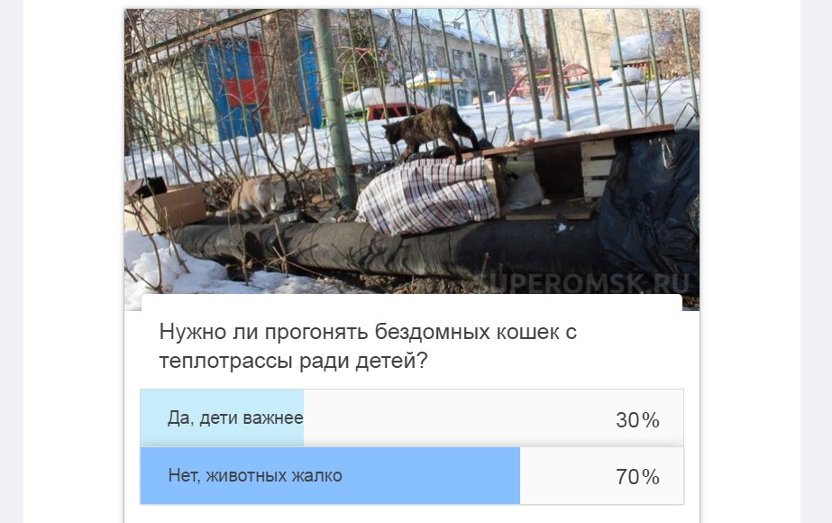 Омичам бездомные кошки оказались дороже детей