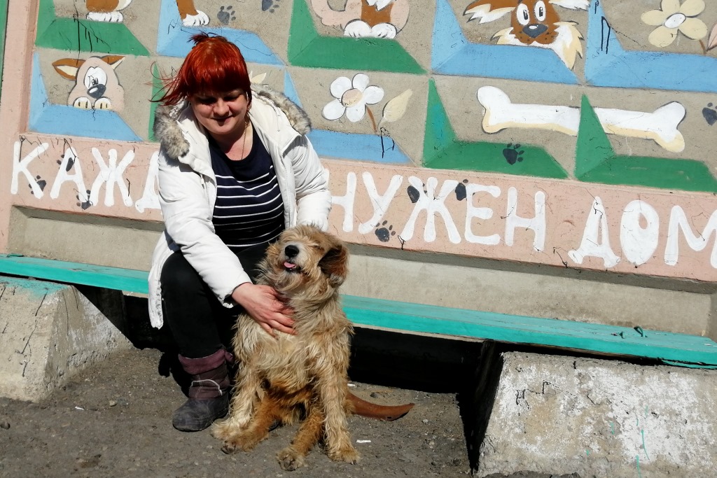 Пес Келли, парализованный после выстрела в спину, несколько лет грустил в омском приюте, но дождался своего счастья Пес Келли, парализованный после выстрела в спину, несколько лет грустил в омском приюте, но дождался своего счастья
