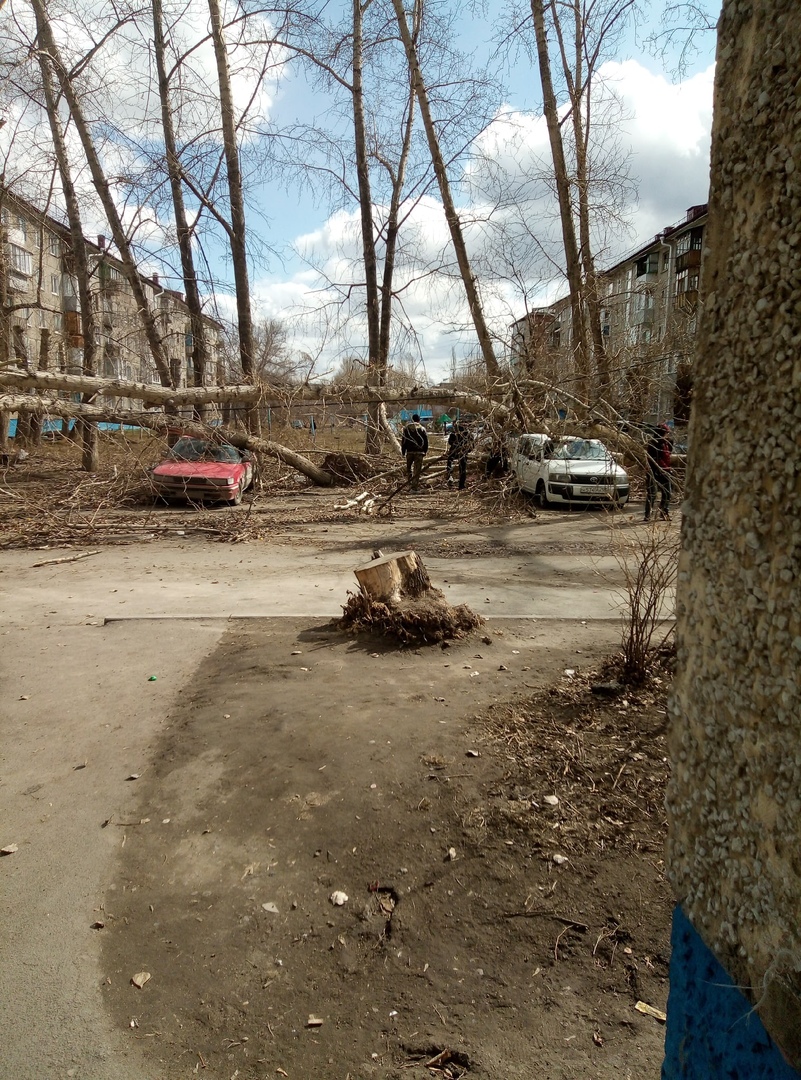 В Омской области продолжает хозяйничать ураган, разрушая дома и машины – фото В Омской области продолжает хозяйничать ураган, разрушая дома и машины – фото