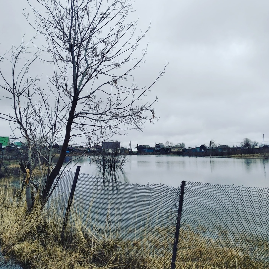 Уровень воды в Иртыше резко «поплыл» вверх Уровень воды в Иртыше резко «поплыл» вверх