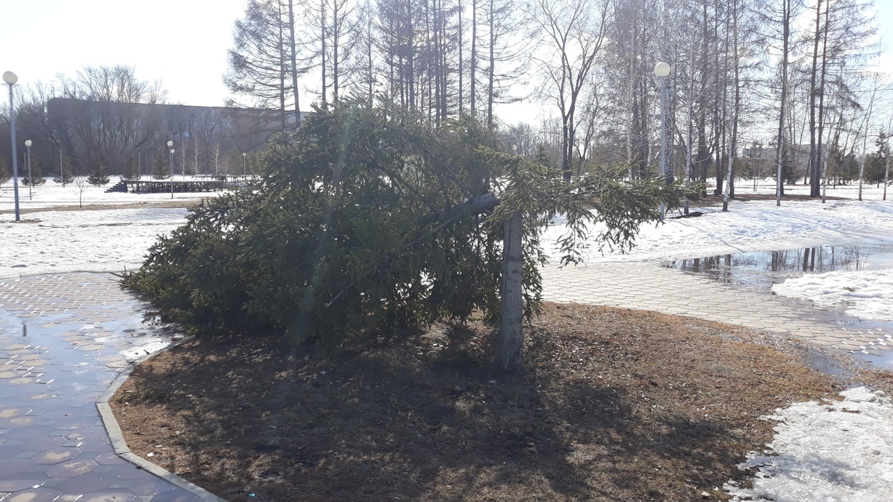 Омичка обнаружила погром на детской площадке в парке