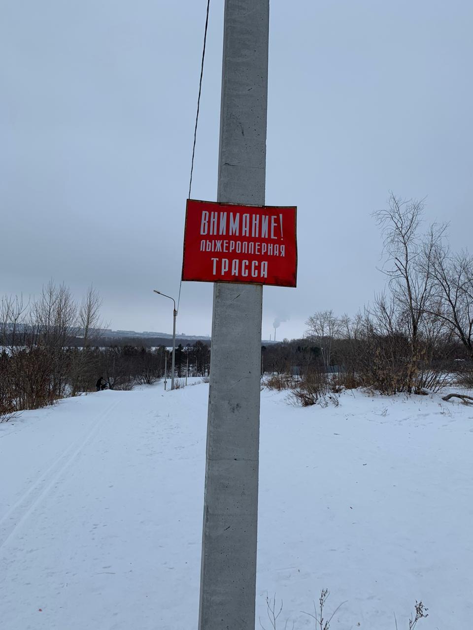 На лыжероллерной трассе в Советском парке омичка получила смертельную травму На лыжероллерной трассе в Советском парке омичка получила смертельную травму