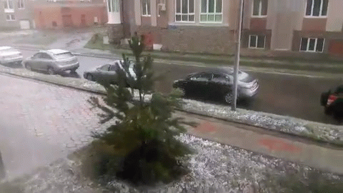 В Омске выпал первый весенний снег - видео В Омске выпал первый весенний снег - видео