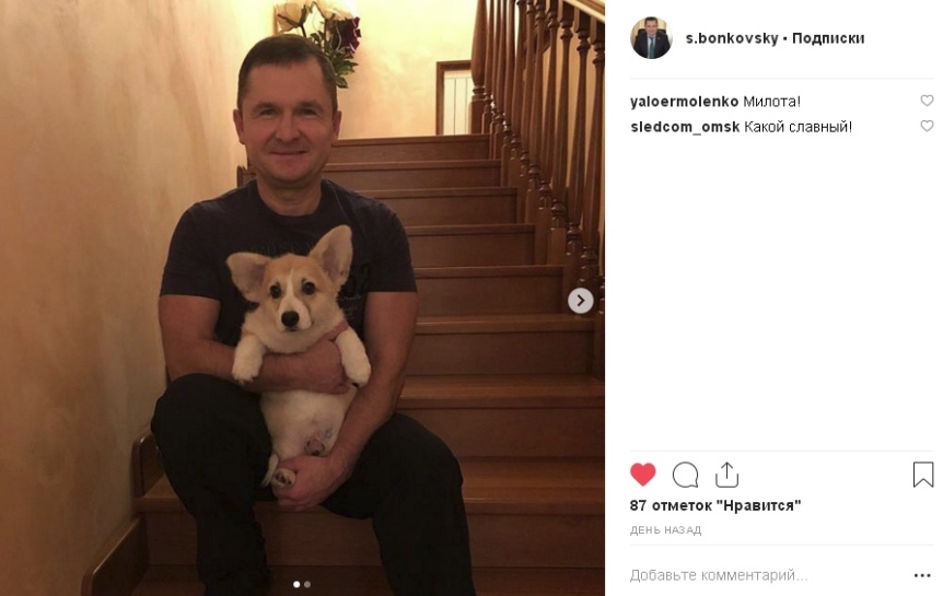 Омский депутат завел своему питомцу аккаунт в Instagram