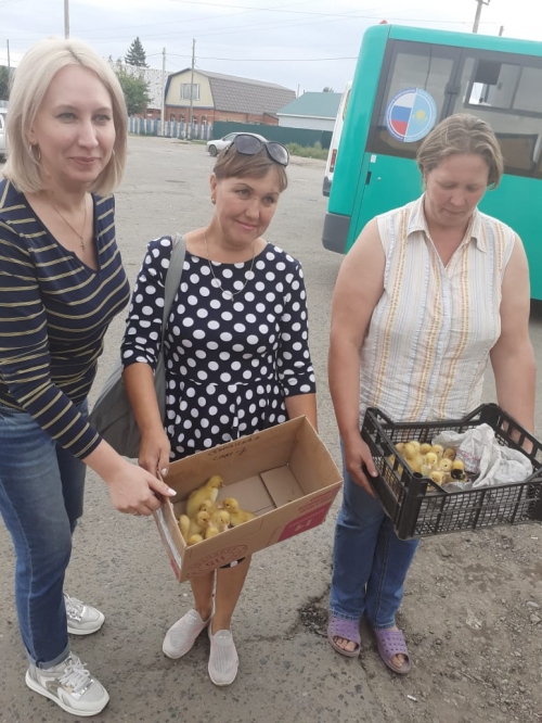 Депутат Инна Гомолко раздала утят жителям поселка Николаевка Депутат Инна Гомолко раздала утят жителям поселка Николаевка