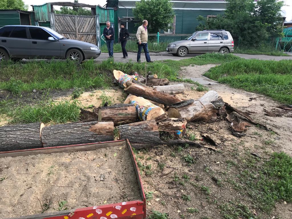 Жители Порт-Артура взбунтовались против сноса детской площадки в угоду машинам: репортаж Жители Порт-Артура взбунтовались против сноса детской площадки в угоду машинам: репортаж
