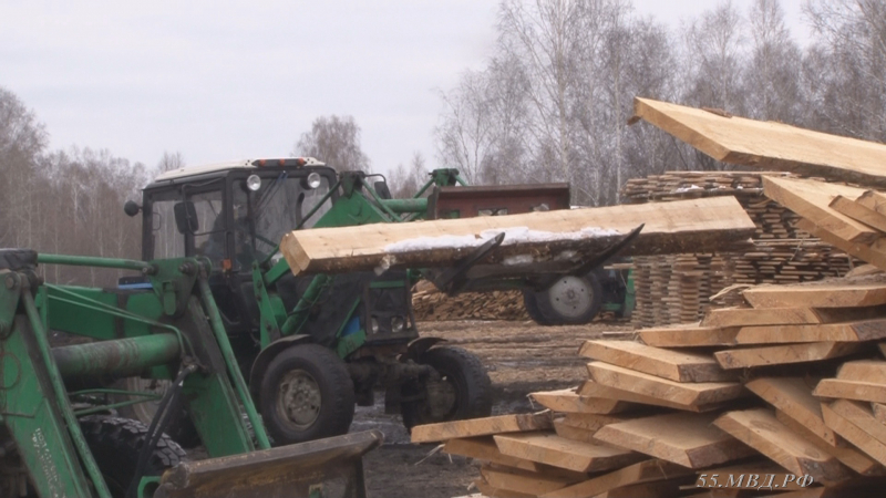 «Черные лесорубы» продолжают кромсать Омскую область